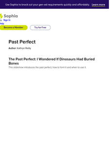 Sophia: Past Perfect PPT