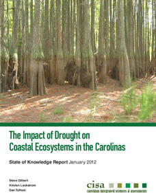 Cisa: The Impact on Drought on Coastal Ecosystems in the Carolinas [Pdf] Article
