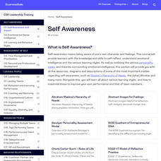 Businessballs: Self Awareness Training Professional Doc