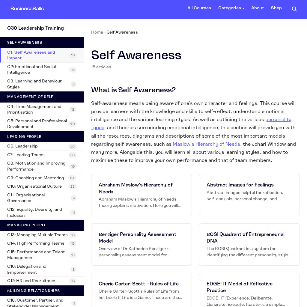 Businessballs: Self Awareness Training Professional Doc