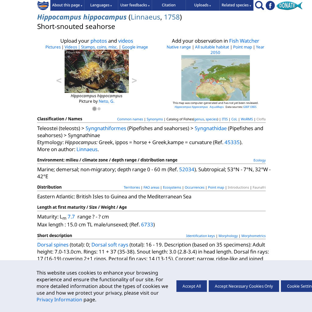 Fish Base: Short Snouted Seahorse Handout