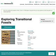 Hhmi: Bio Interactive: Great Transitions Interactive PPT