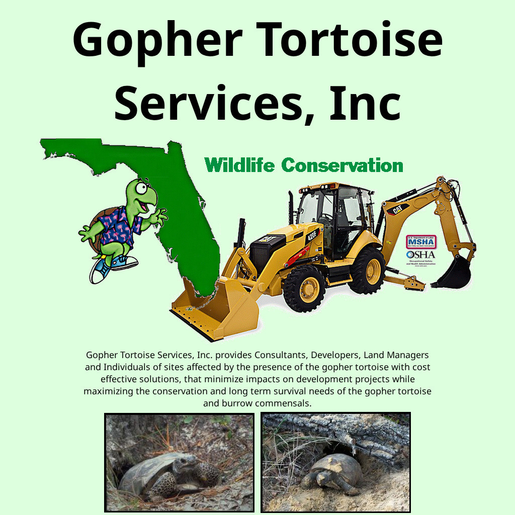 The Gopher Tortoise Organization Website