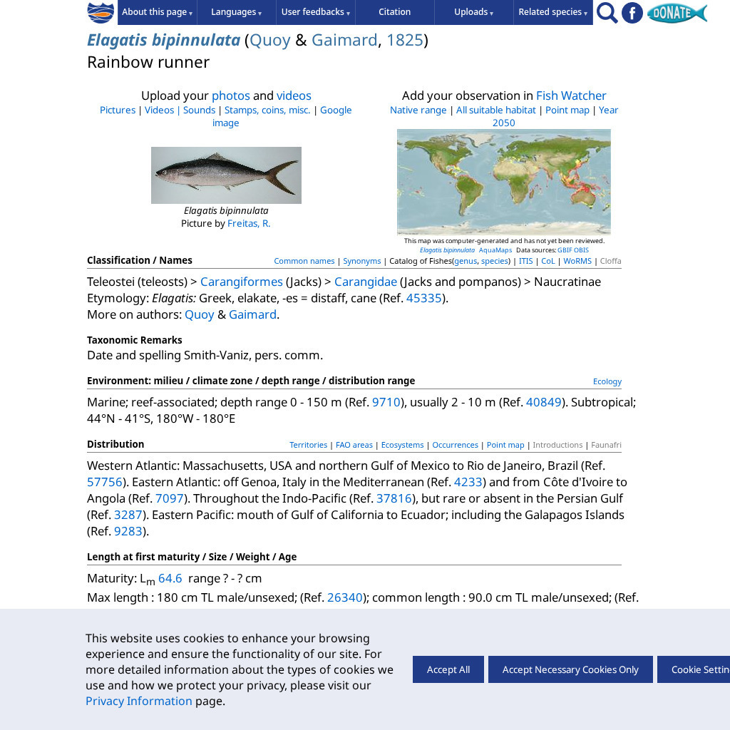 Fishbase: Elagatis Bipinnulata (Hawaiian Salmon) Handout
