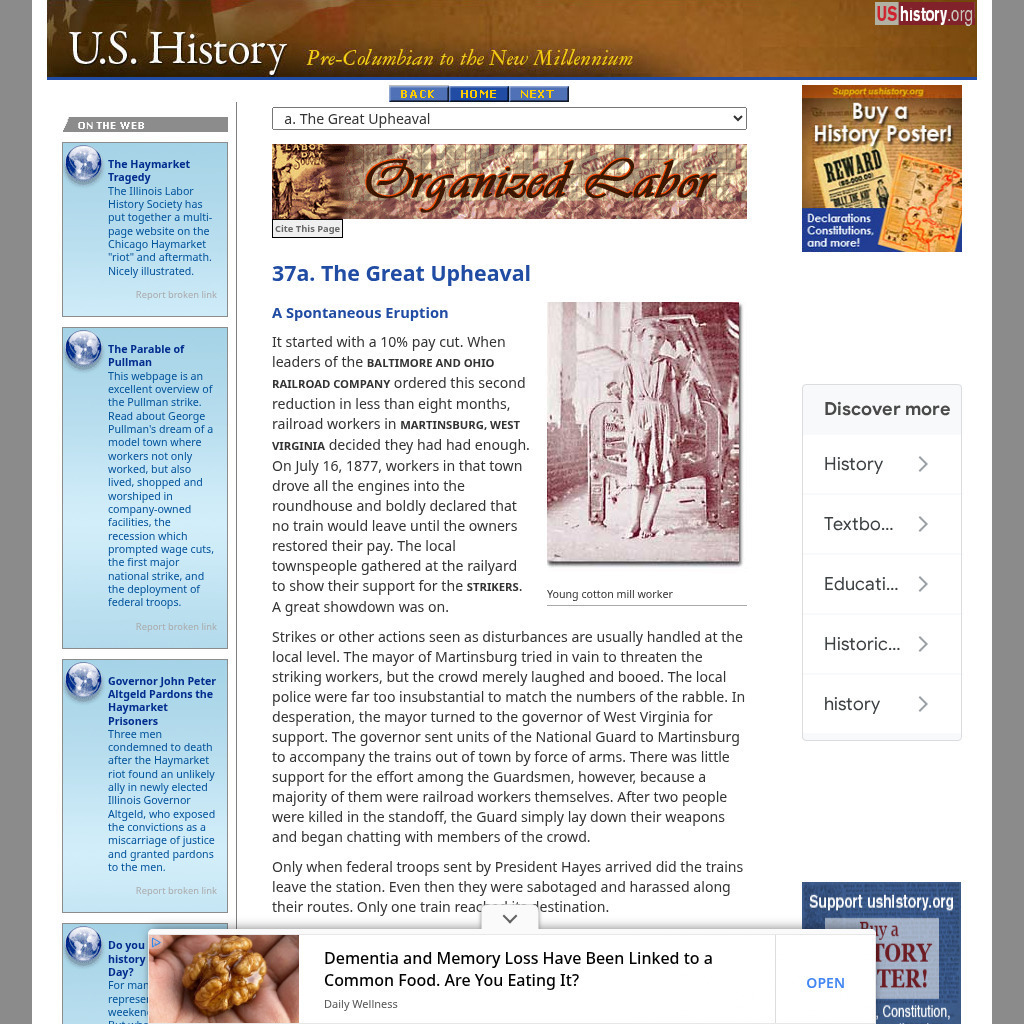 U.s. History: The Great Upheaval Website