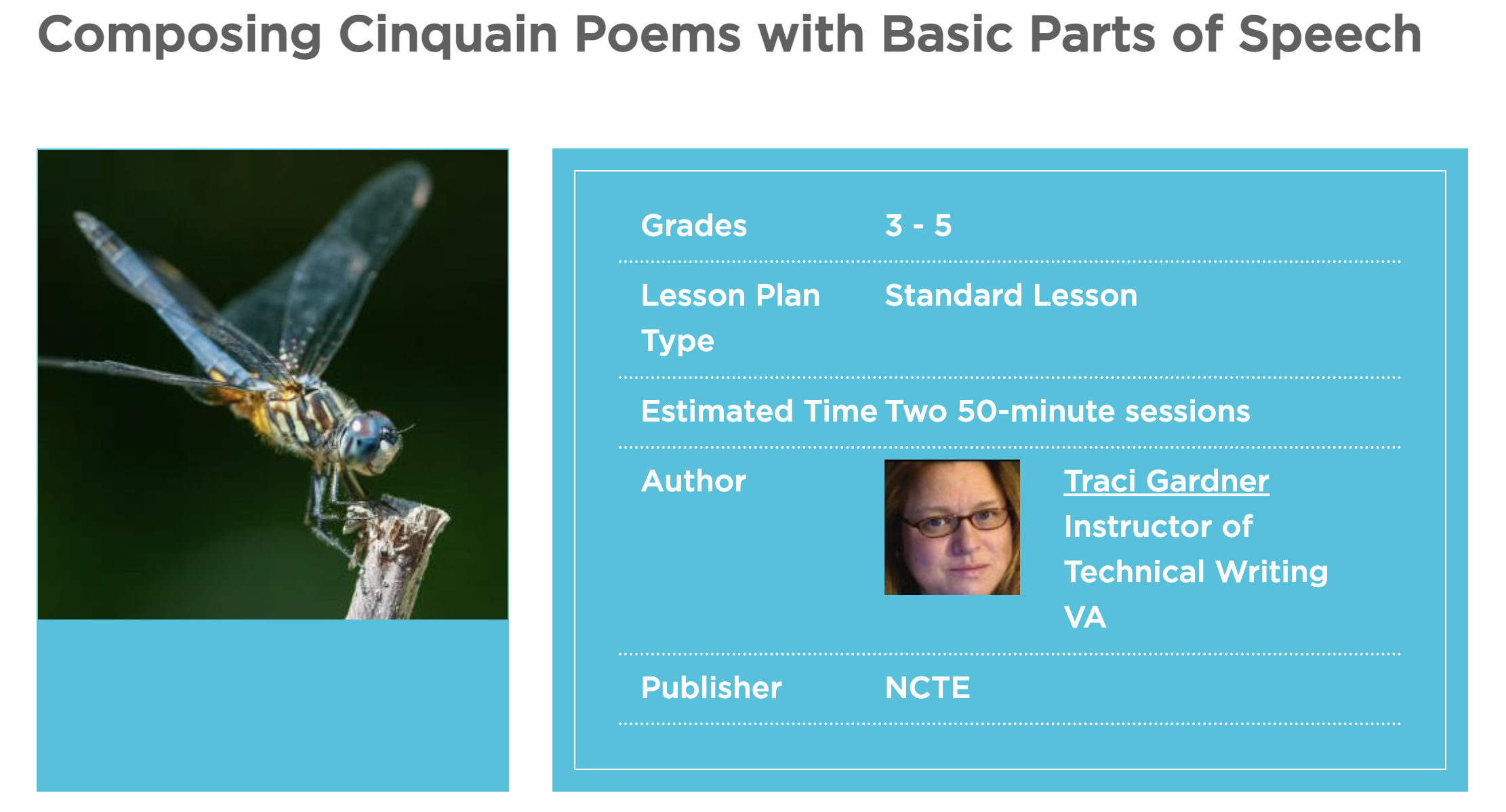 Composing Cinquain Poems with Basic Parts of Speech Lesson Plan