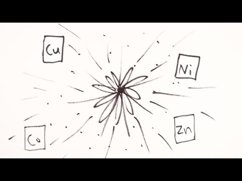 Life Cycle of Stars Instructional Video