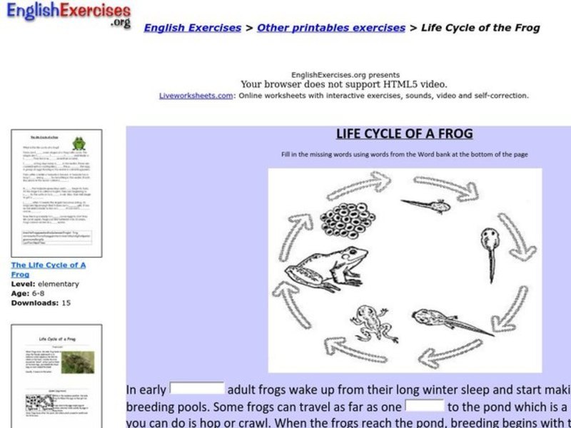 Life Cycle of the Frog Interactive