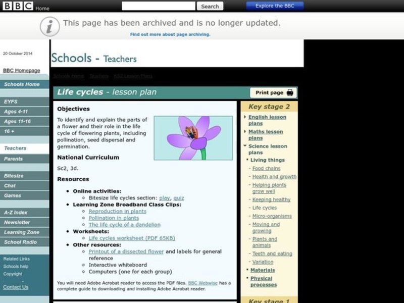 Life Cycles Lesson Plan