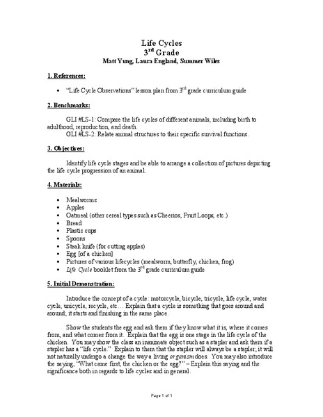 Life Cycles Lesson Plan