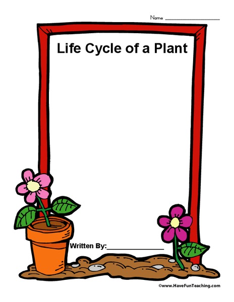 Life Cycle of a Plant Worksheet