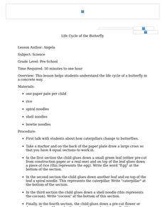 Life Cycle of the Butterfly Lesson Plan