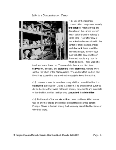 Life In a Concentration Camp Lesson Plan