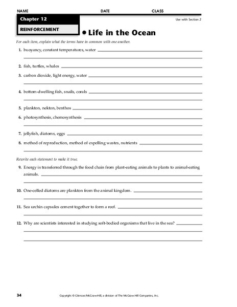 Life in the Ocean Worksheet