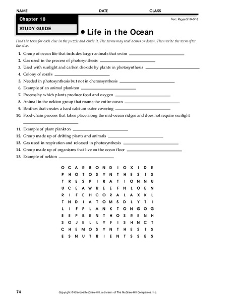 Life in the Ocean Worksheet