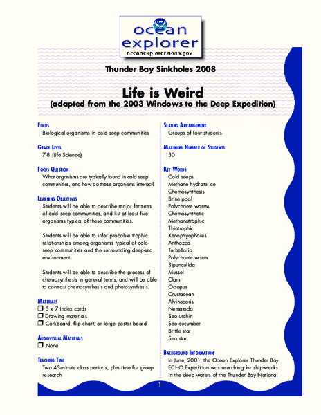 Life is Weird Lesson Plan