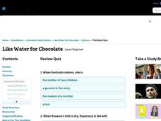 Like Water for Chocolate Interactive