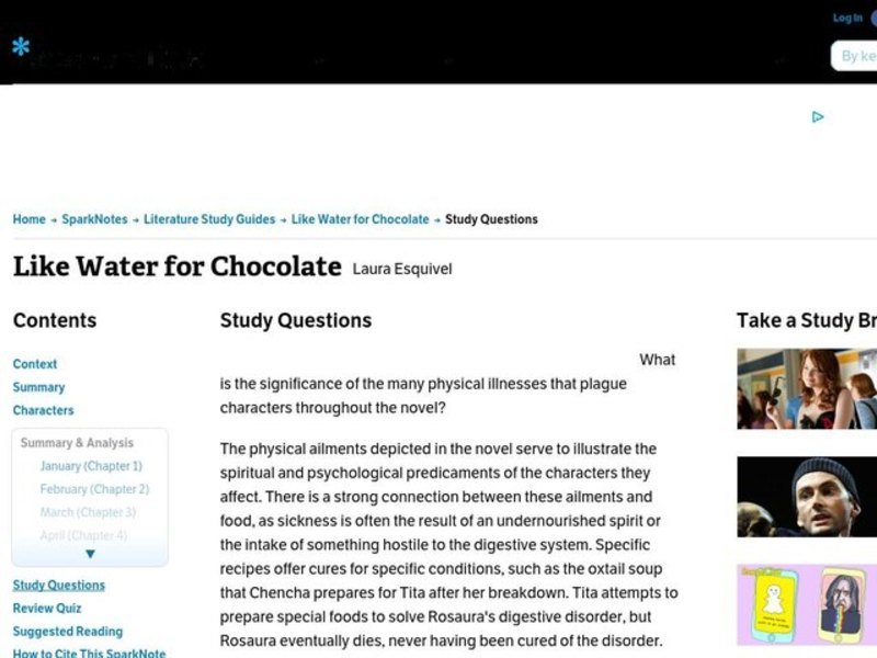Like Water for Chocolate by Laura Esquivel: Study Guide - Mini Essays Study Guide