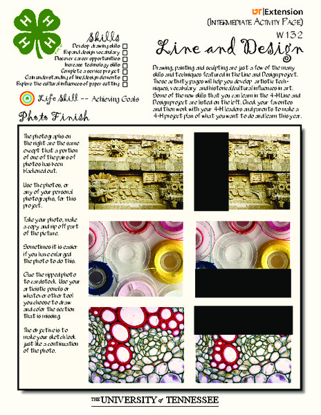 Line and Design Worksheet