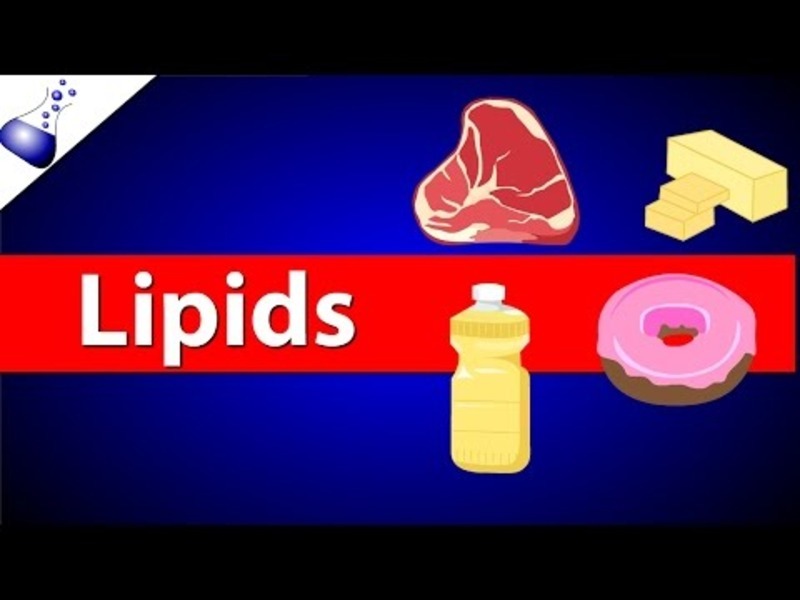 Lipids Instructional Video