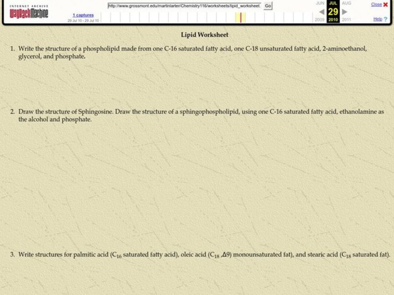 Lipid Worksheet Worksheet