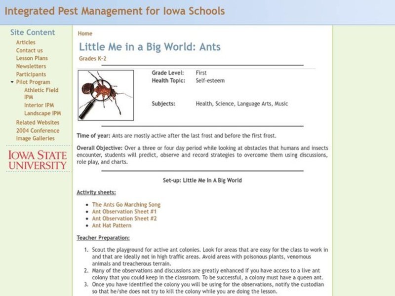 Little Me in a Big World: Ants Lesson Plan