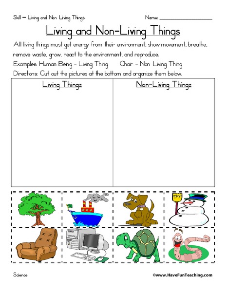Living and Non-Living Things Worksheet
