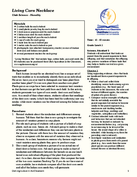 Living Corn Necklace Lesson Plan