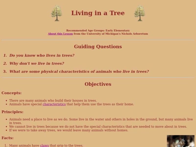 Living In a Tree Lesson Plan