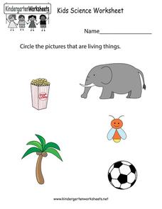 Living things Worksheet