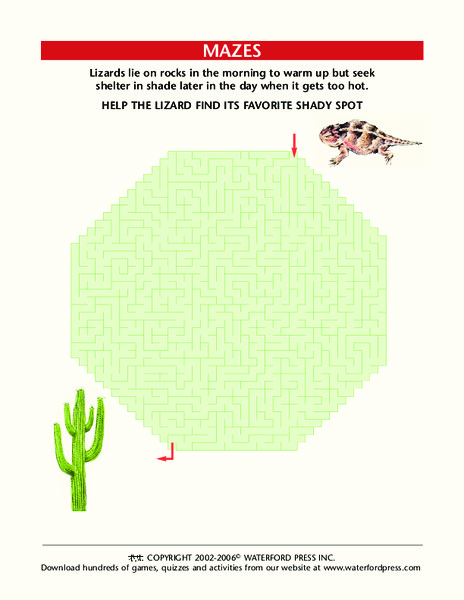 Lizard Maze Worksheet