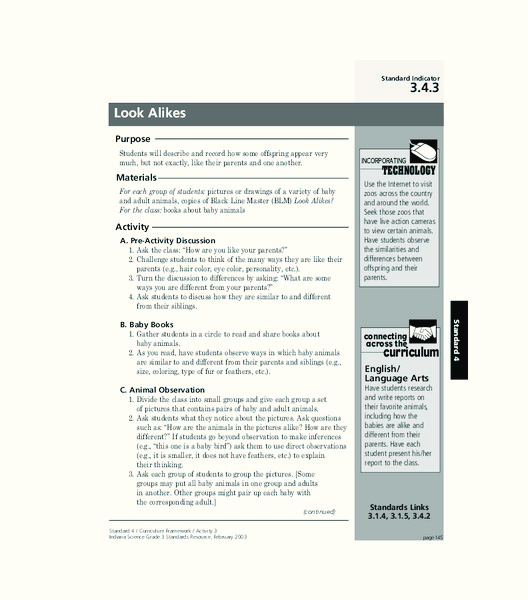 Look Alikes Lesson Plan