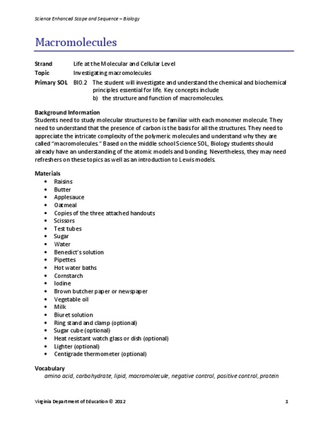 Macromolecules Lesson Plan