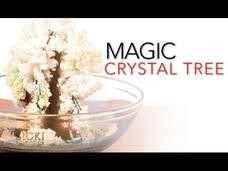 Magic Crystal Tree - Sick Science! #065 Instructional Video