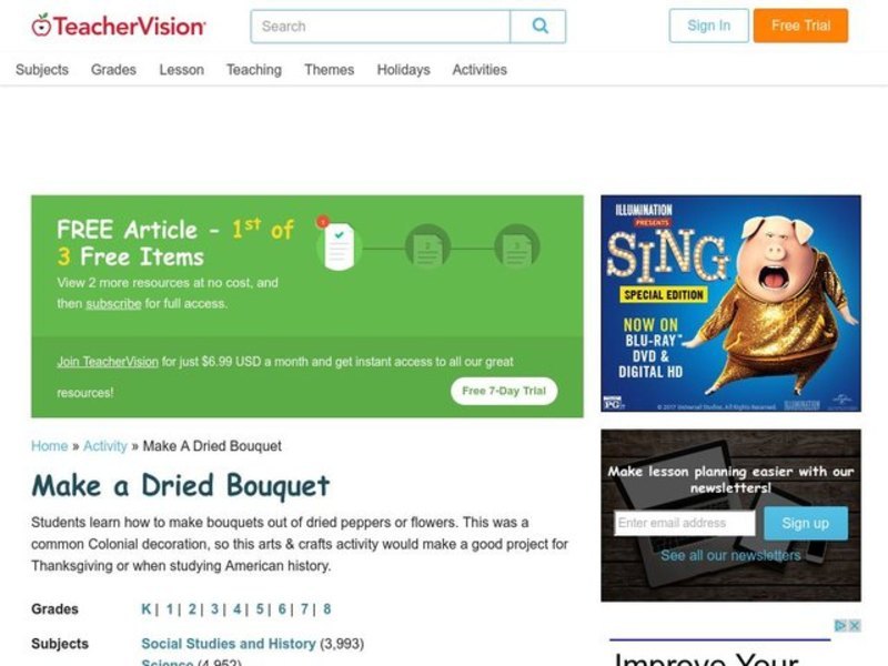 Make a Dried Bouquet Lesson Plan
