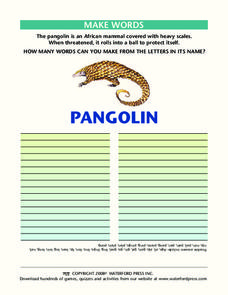 Make Words Lesson Plan