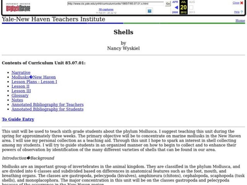 Shells Lesson Plan