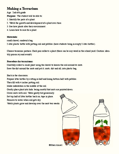 Making a Terrarium Lesson Plan