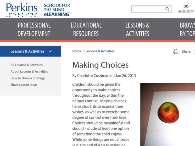 Making Choices Lesson Plan