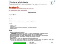 Making Fossils Lesson Plan