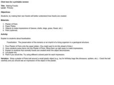 Making Fossils Lesson Plan