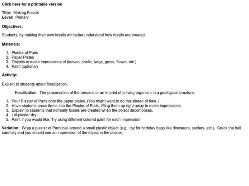 Making Fossils Lesson Plan