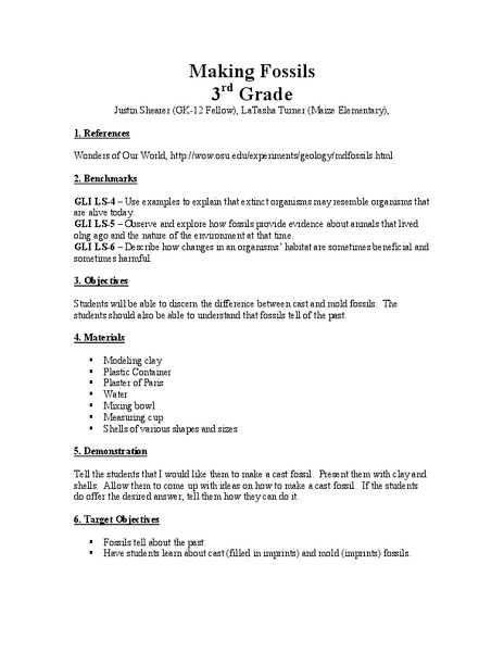 Making Fossils Lesson Plan