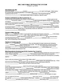 Male and Female Reproductive Systems Worksheet