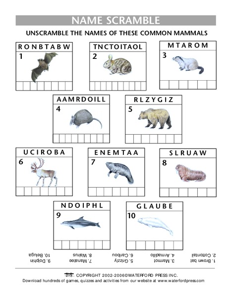 Mammal Word Scramble Lesson Plan