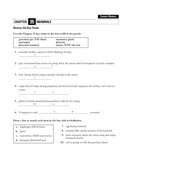 Mammals Worksheet