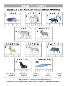 Mammal Word Scramble Lesson Plan