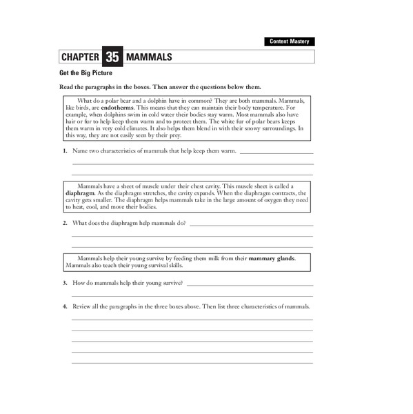 Mammals Worksheet