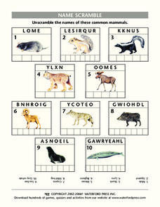 Mammal Word Scramble Lesson Plan