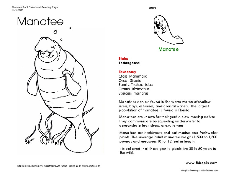 Manatee Worksheet